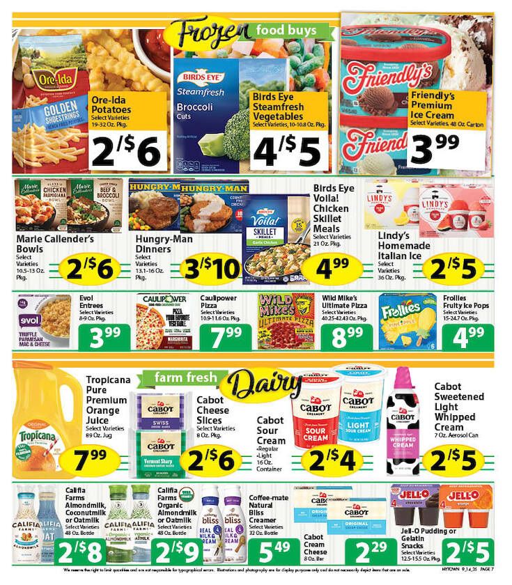 Circular Page 7